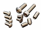 Race Master Holster - Complete Spare Screw Set Race Master Holster - Complete Spare Screw Set