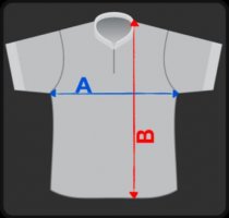DAA Team Shirt by Gemini 3