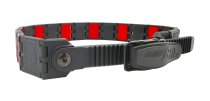 DAA Lynx Belt